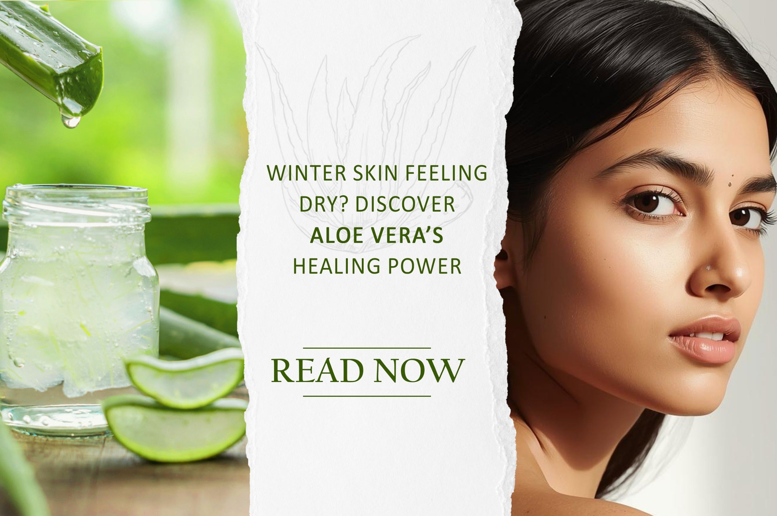 Winter Skin Care with Aloe Vera Gel: How to Prevent Dryness & Flaking   Ayouthveda