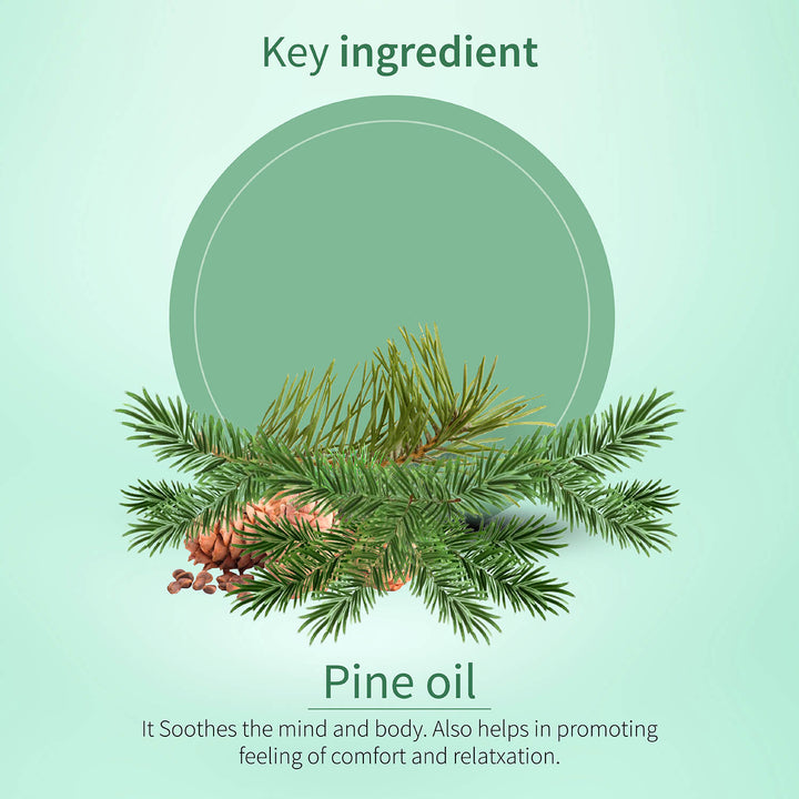 Pine Essential Oil 15ml - Ayouthveda