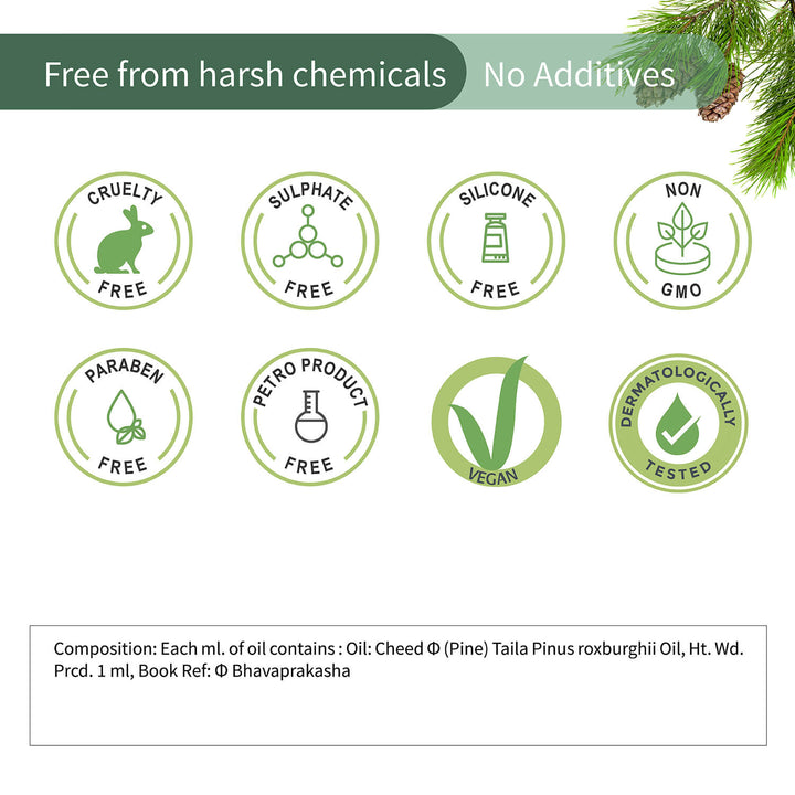 Pine Essential Oil 15ml - Ayouthveda
