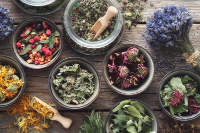 Unlocking the Power of Ayurvedic Skincare Routine for Beginners: Ayouthveda's Skincare Guide