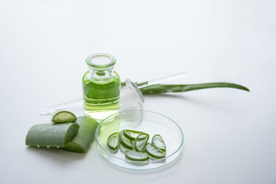 Get the Aloe Glow This Summer with Ayouthveda's Aloe Vera Skincare Range