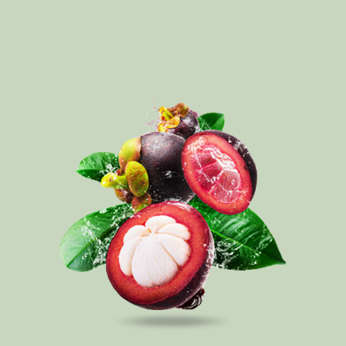 Mangosteen (garcinia)