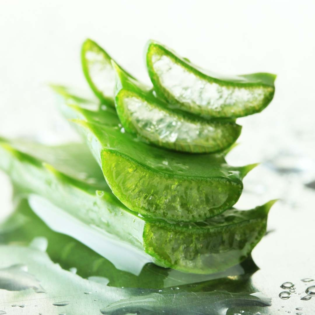 Aloe vera