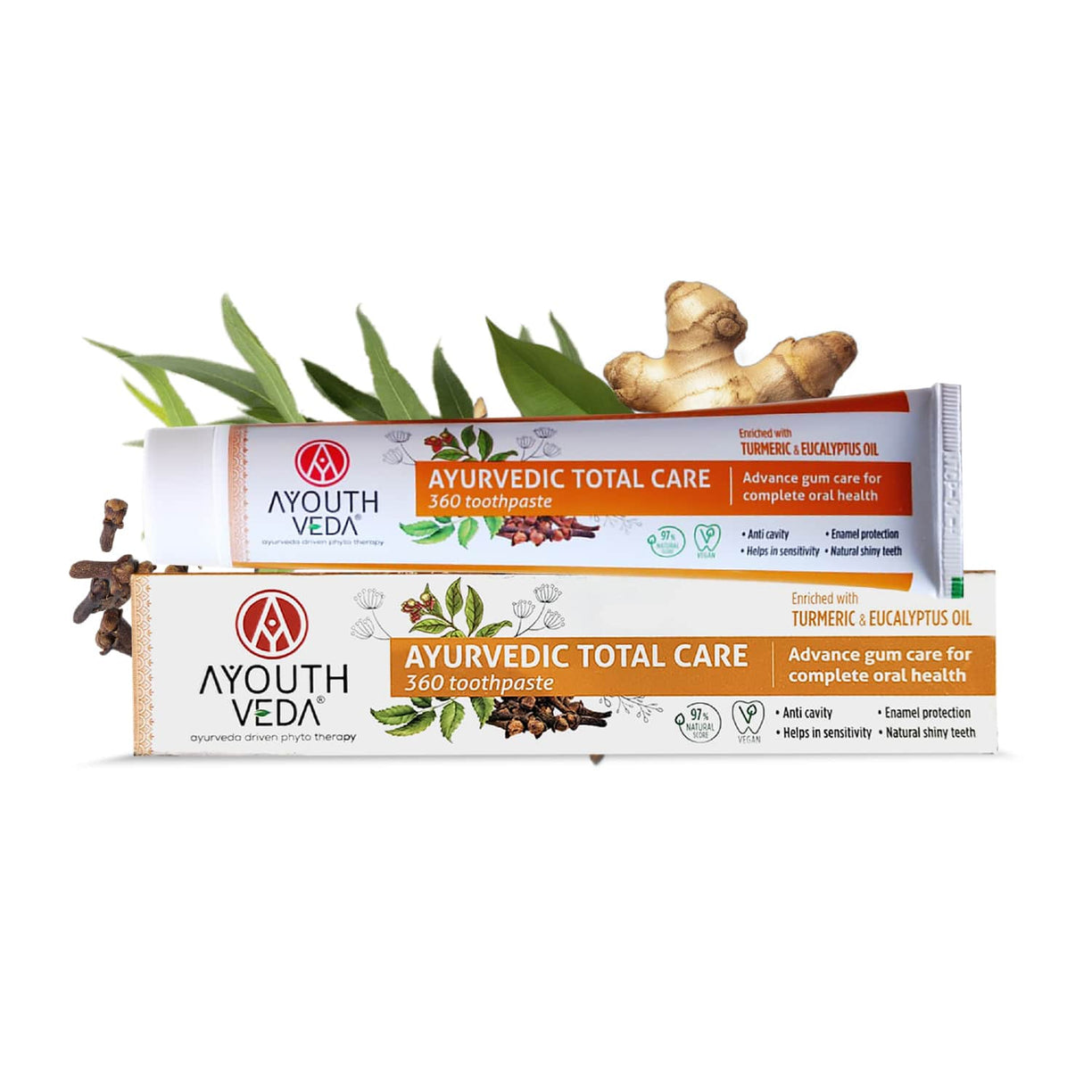 Ayouthveda Total Care 360 Toothpaste Net qty.- 100 g each Set of 2