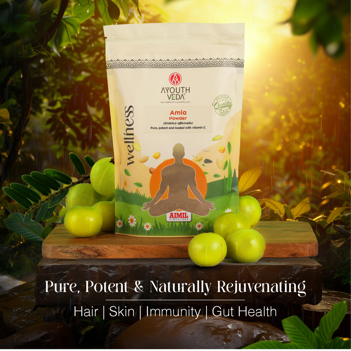 Amla Powder (Emblica officinalis) 200g