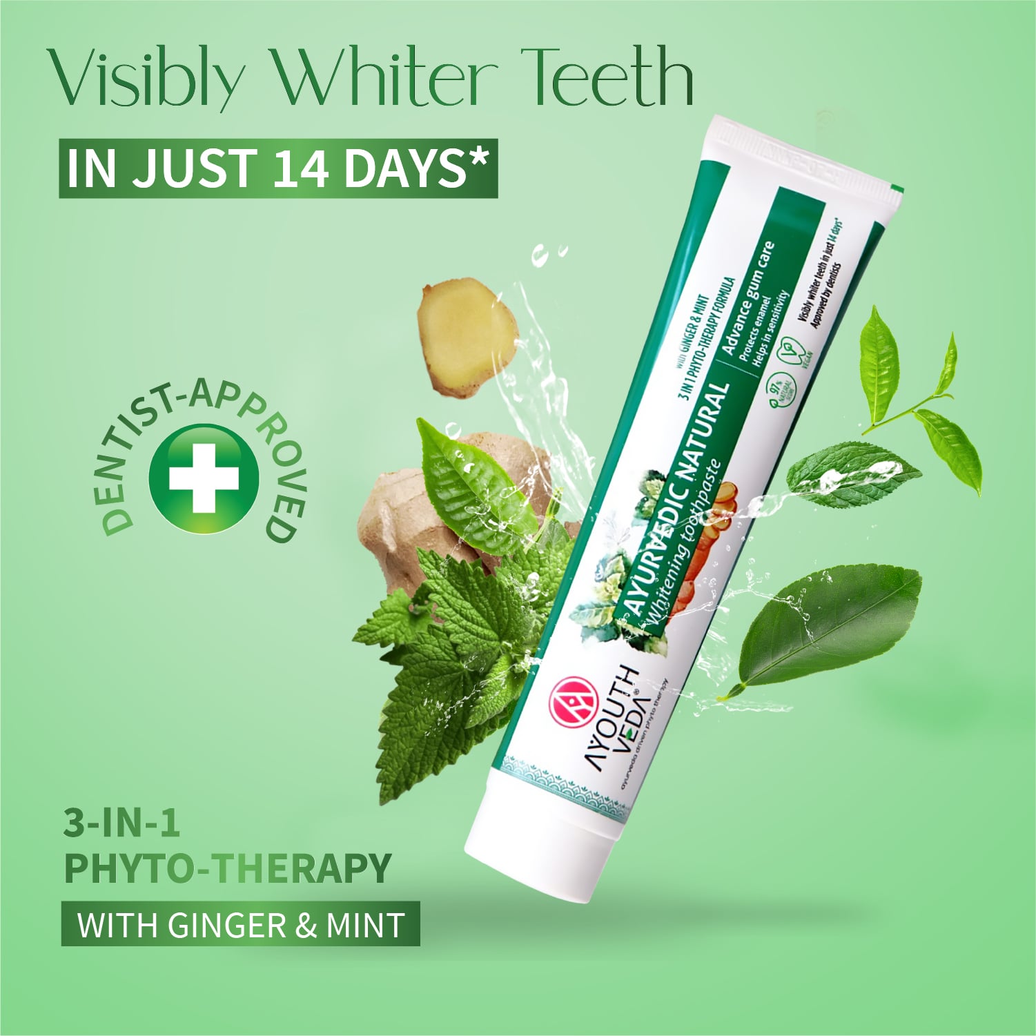 Ayouthveda Natural Whitening Toothpaste Net qty.- 100 g each Set of 2