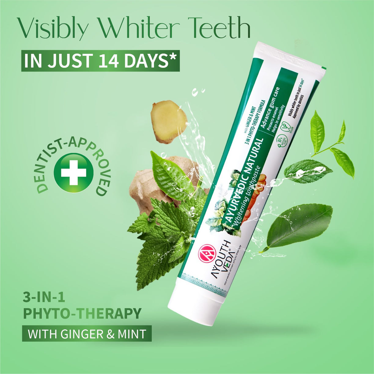 Ayouthveda Natural Whitening Toothpaste Net qty.- 100 g