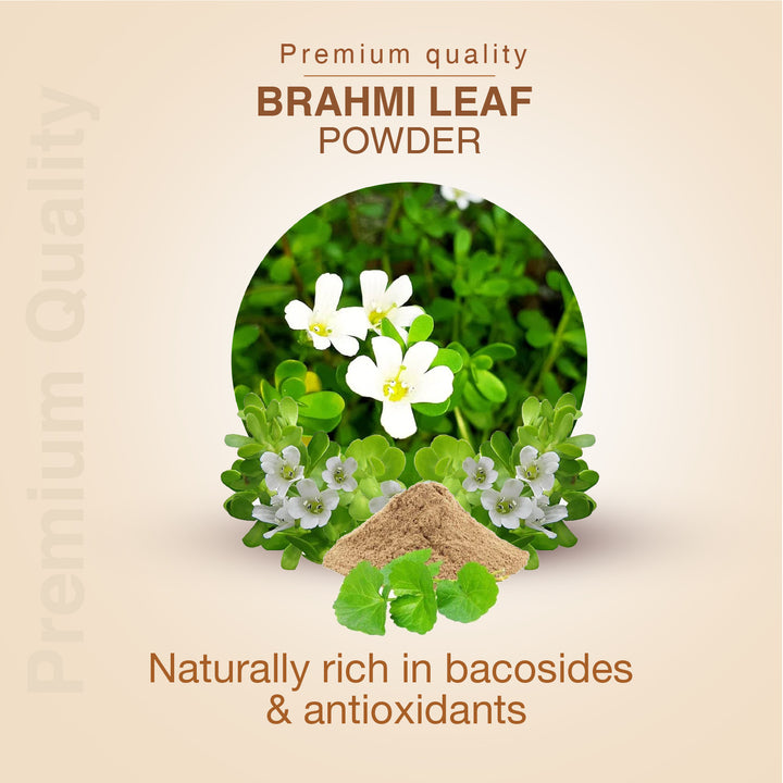 Brahmi Powder – Ayurvedic Brain Tonic for Memory & Stress Relief - Net Qty: 200g