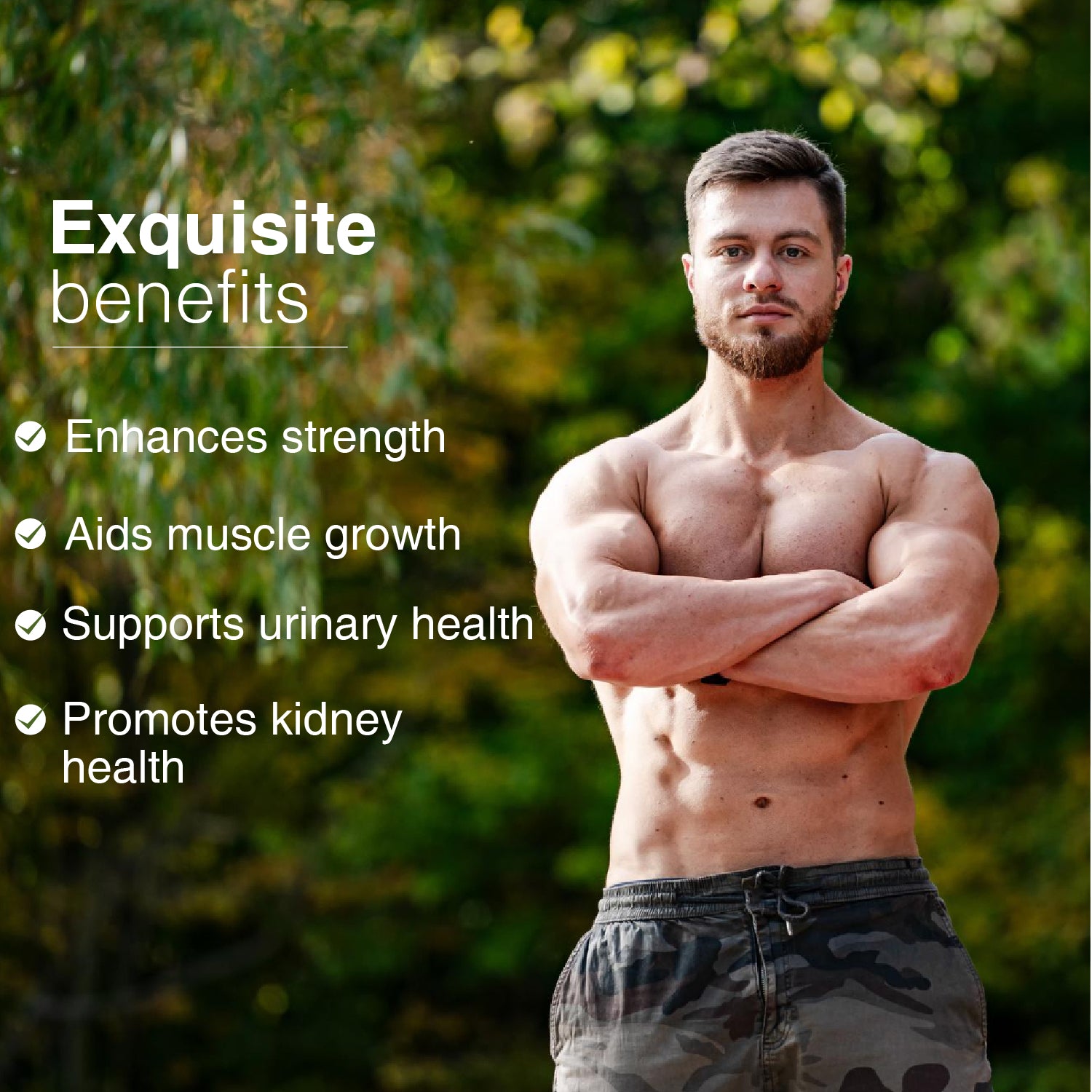 Ayouthveda Gokhru Powder | Pure Ayurvedic Tribulus terrestris for Strength, Stamina & Vitality | Supports Muscle Growth, Kidney & Urinary Health | Natural Energy & Performance Booster | Net Qty: 200g