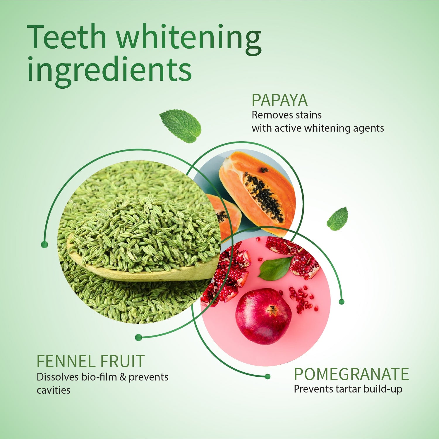 Ayouthveda Natural Whitening Toothpaste Net qty.- 100 g each Set of 2