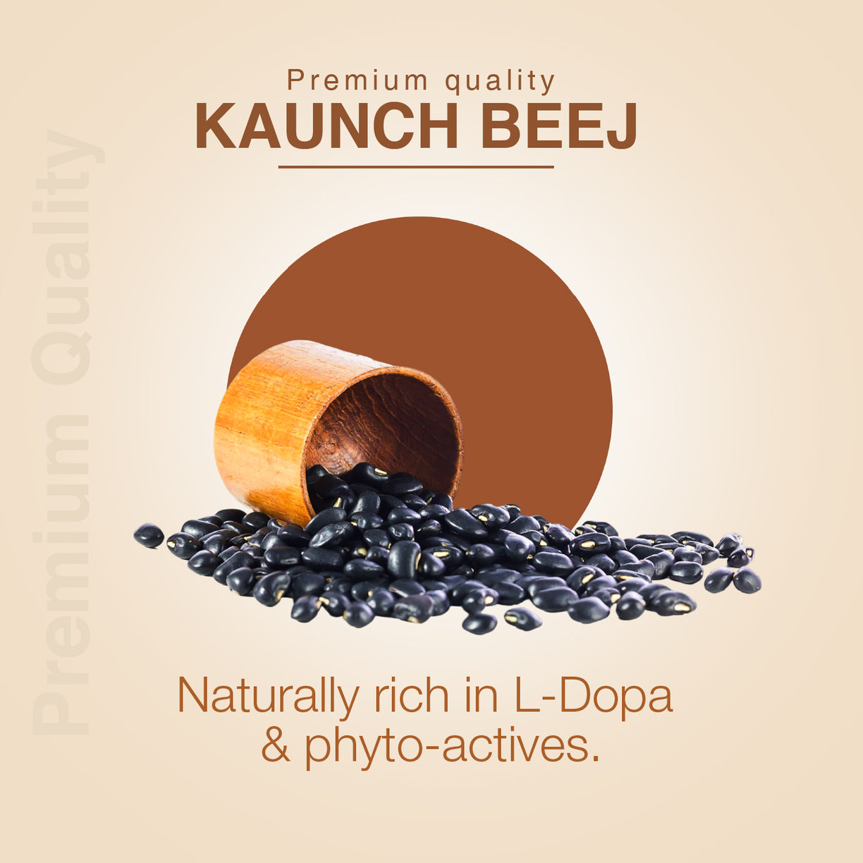 Ayouthveda Kaunch Beej Powder | Pure Mucuna pruriens for Energy, Stamina & Vitality | Natural L-DOPA Source for Strength, Muscle Support & Nervous System Balance | Ayurvedic Performance & Wellness Booster | Net Qty: 200g