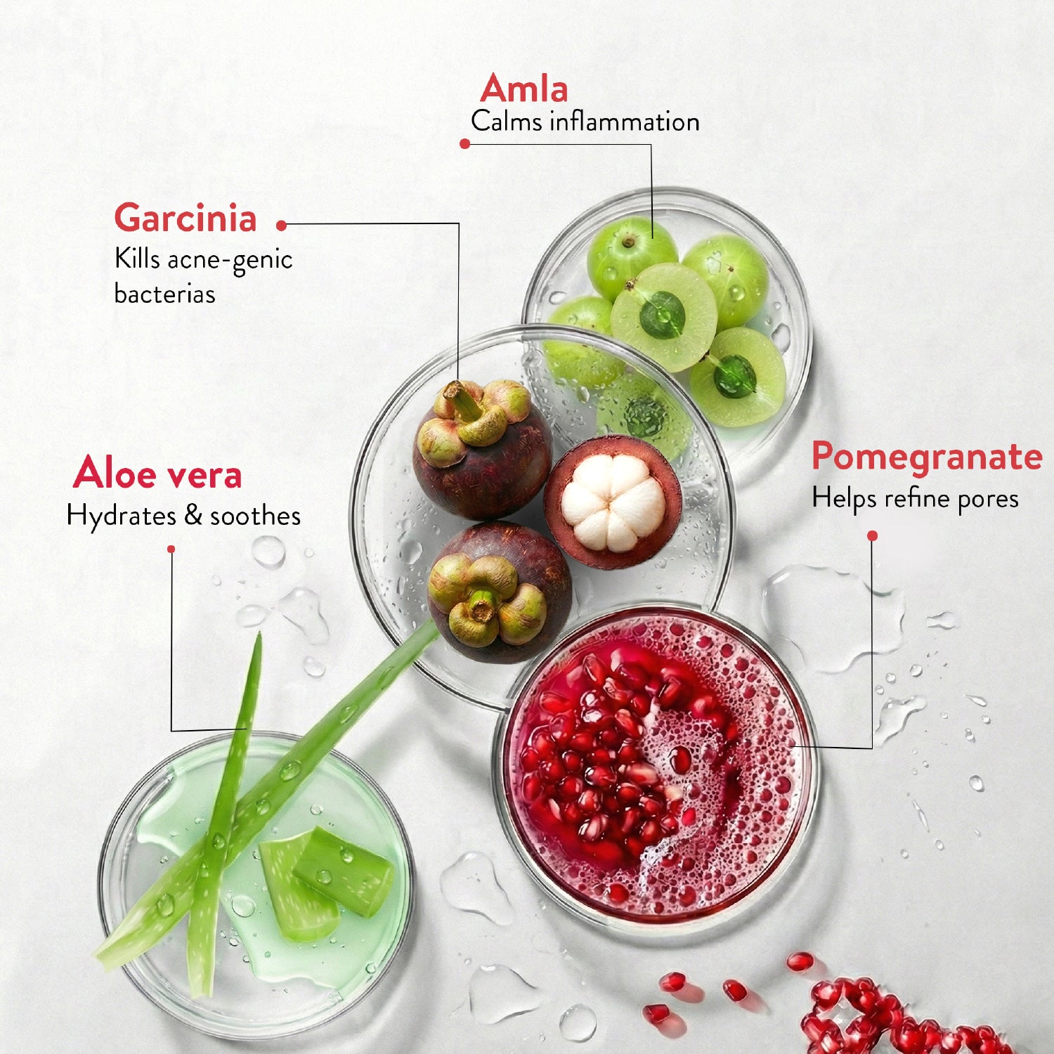 Ayouthveda Acne Enemy Clarifying Facial Toner with Pomegranate, Amla, Aloe Vera & Rose Distillate for Acne & Oil Control | Dermatologically Tested |Suitable for Oily & Acne-Prone Skin | Net Qty – 100 ml