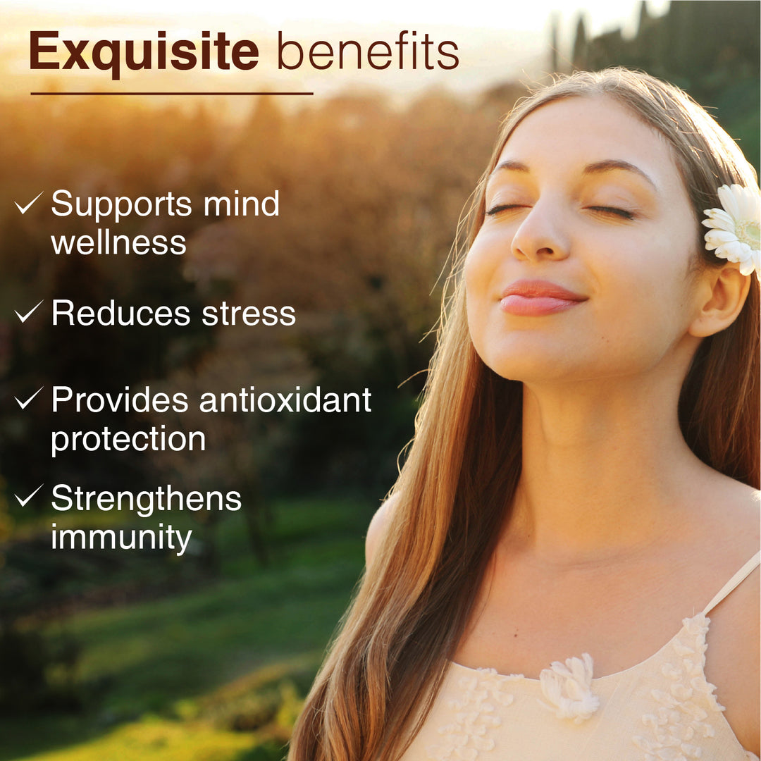 Brahmi Powder – Ayurvedic Brain Tonic for Memory & Stress Relief - Net Qty: 200g