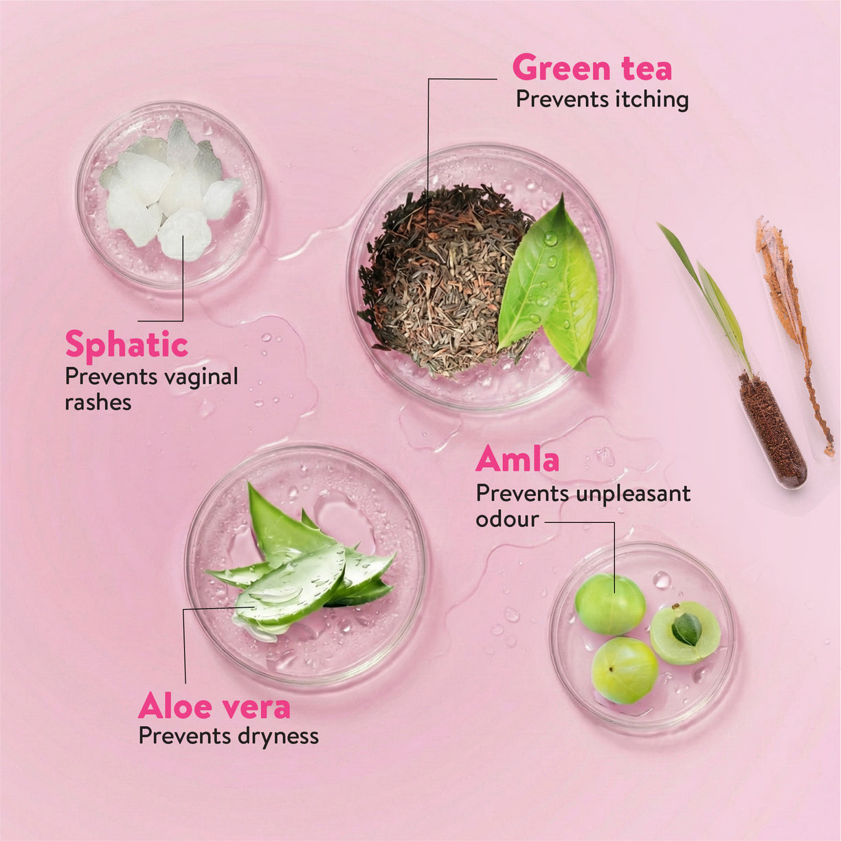 Ayouthveda Vagitone Intimate Hygiene Wash For Women | pH Balanced Daily Intimate Cleanser | Controls Odor, Itching & Dryness | Sulfate-Free, Gynaecologically Tested | With Sphatika, Green Tea & Aloe Vera | Net Qty - 180 ml