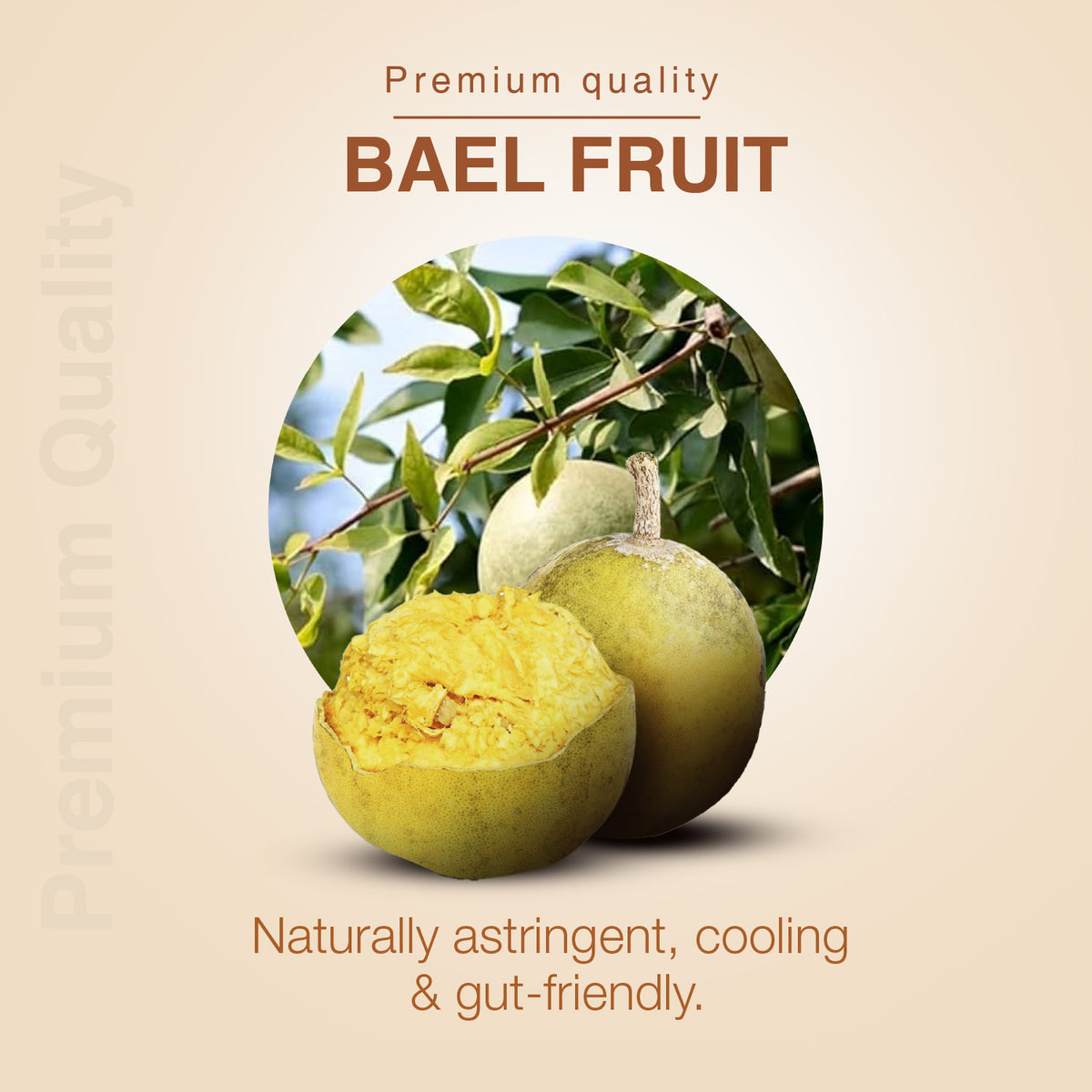 Instant Bael Powder Bael Fruit Powder with Pure Sun-Dried Bael (Aegle marmelos) for Digest ...