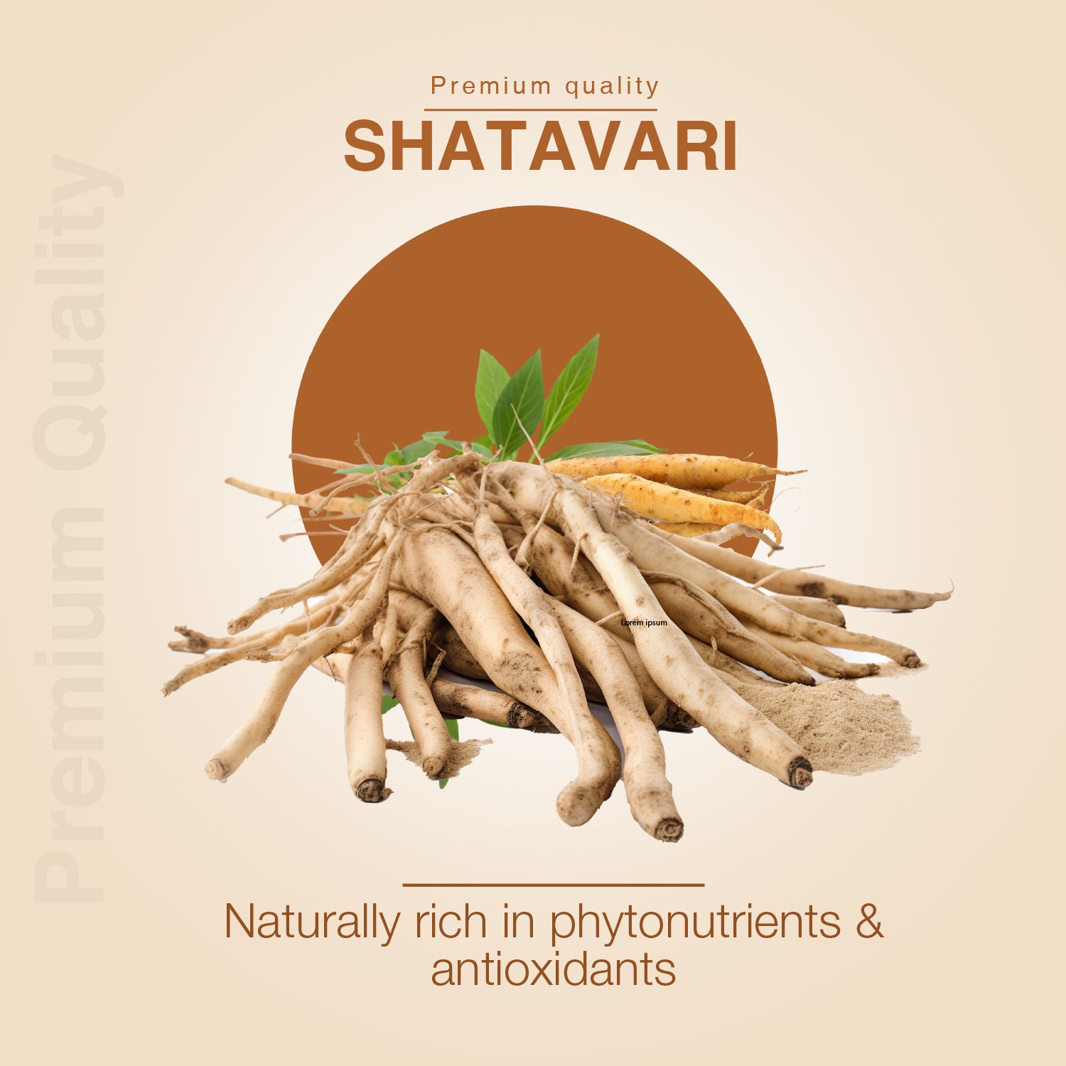 Ayouthveda Shatavari Powder | Pure Asparagus racemosus for Women’s Wellness, Hormonal Balance & Stress Relief | Adaptogenic Ayurvedic Support for Energy, Digestion & Immunity | Natural Feminine Health Booster | Net Qty: 200g