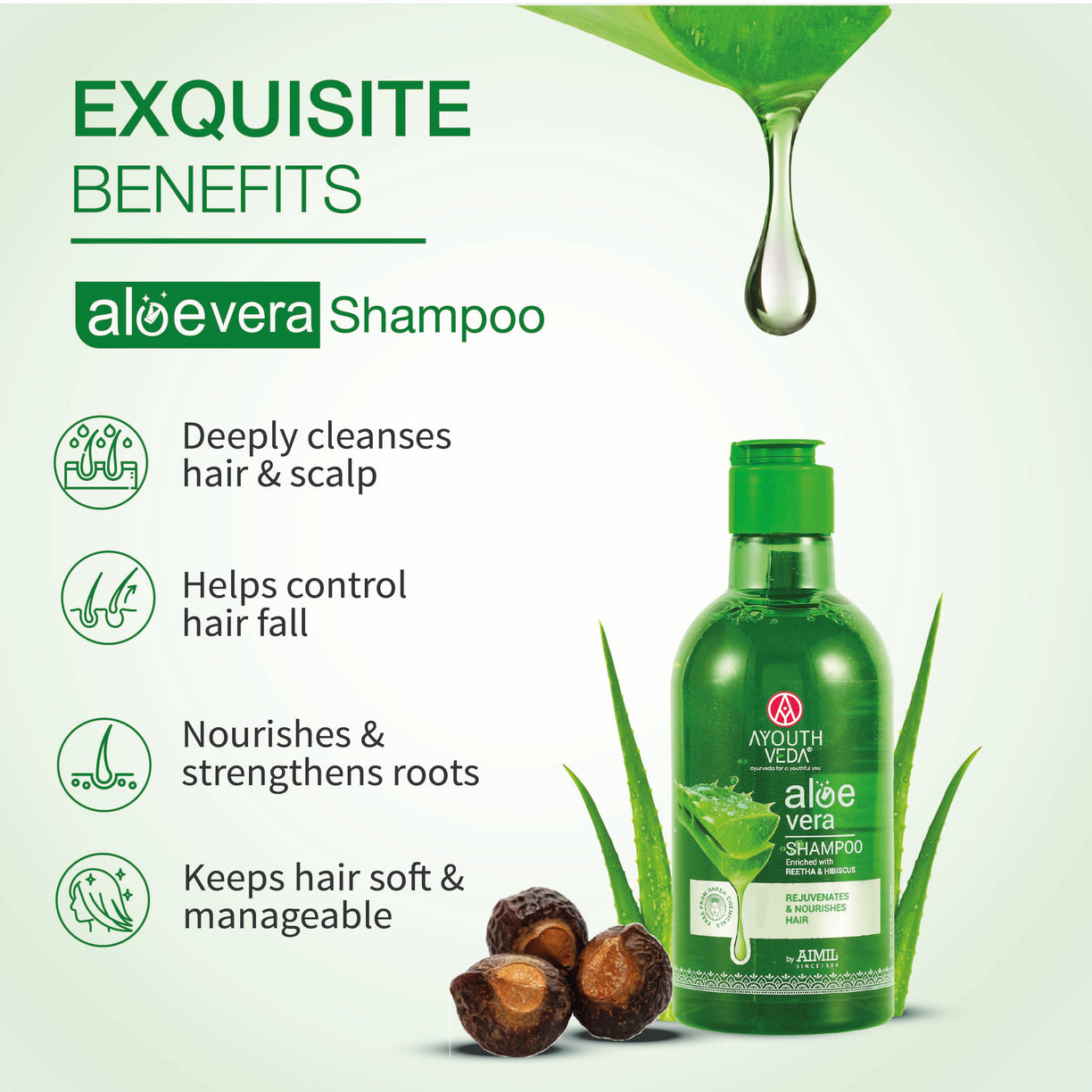 Soothing Aloe Care Combo: Aloe Vera Lotion (250 ml), Aloe Vera Shampoo (100 g), Aloe Vera Gel (150 g)