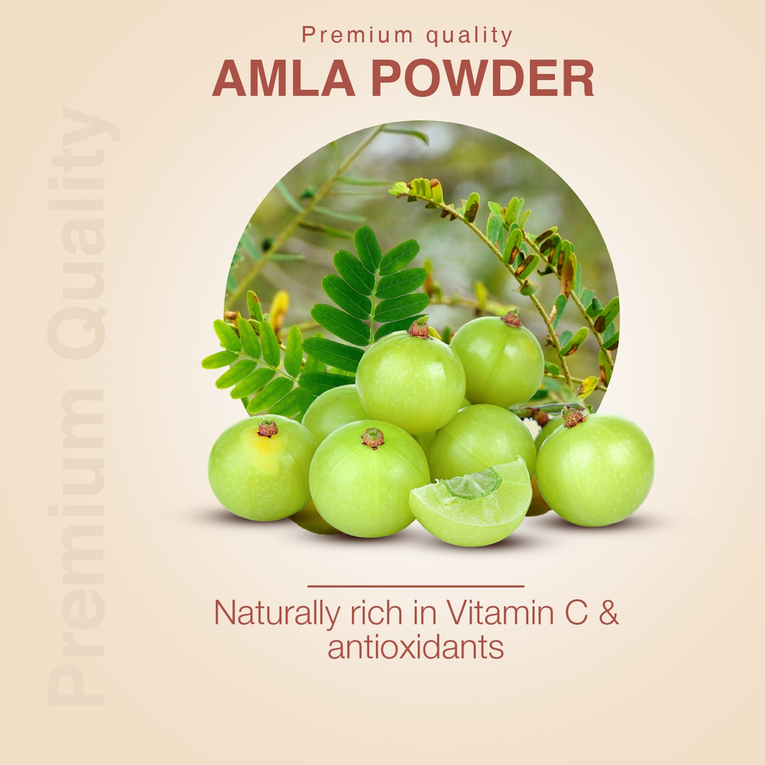 Amla Powder – Indian Gooseberry for Immunity, Hair, and Skin Wellness - Net Qty: 200g