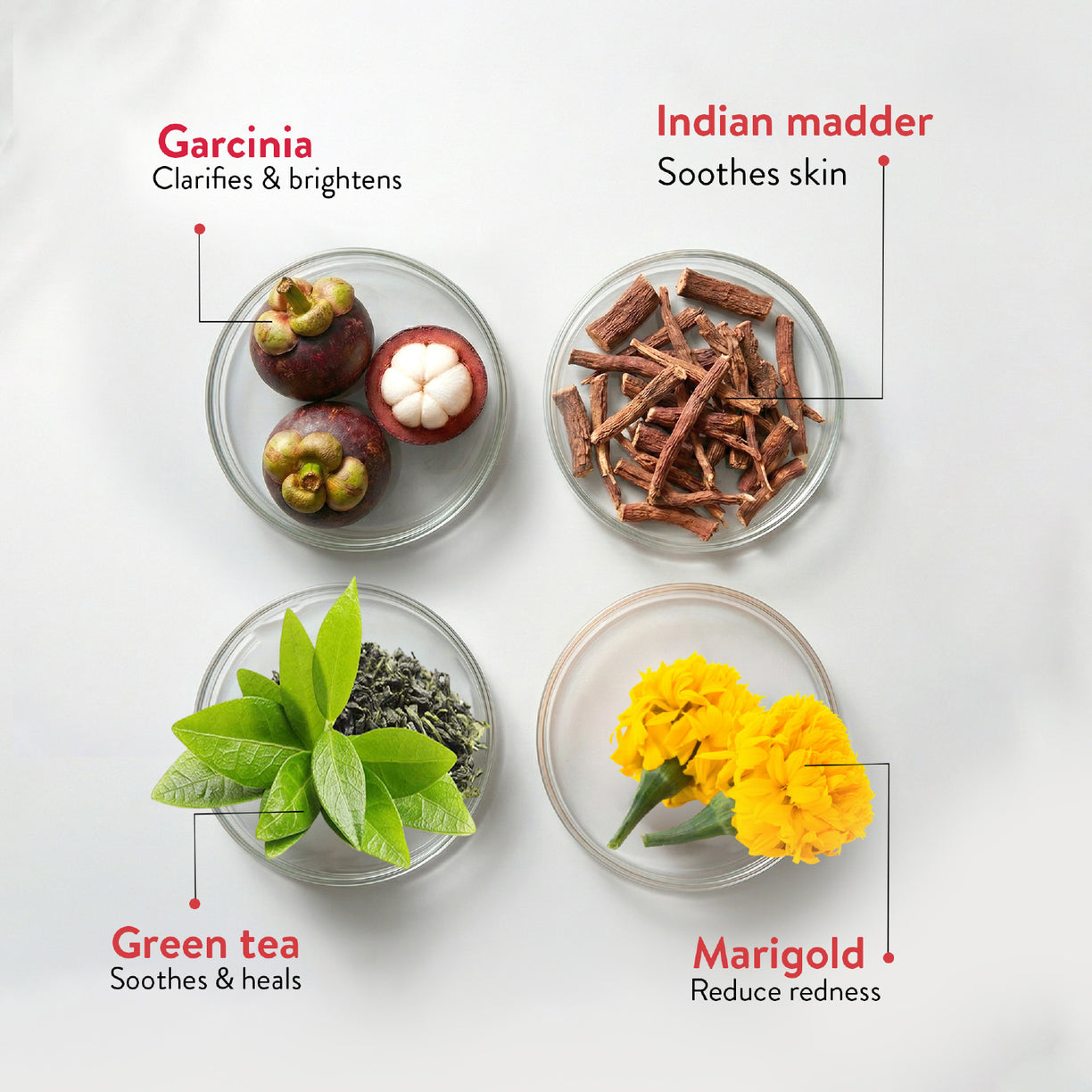 Ayouthveda Acne Enemy Face Wash Gel for Acne & Pimples | Fights Acne-Causing Bacteria & Excess Oil | With Alpha-CURe Complex, Garcinia & Manjistha | Sulfate-Free Gel Cleanser | For Acne-Prone Skin | Net Qty- 100 ml