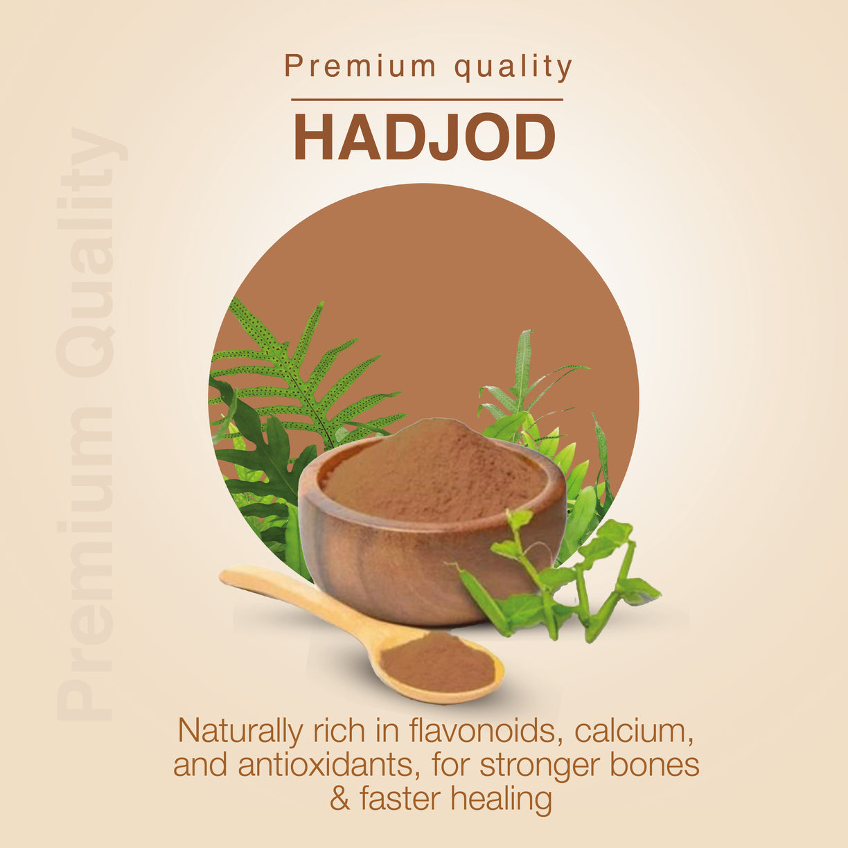 Hadjod Powder 200g
