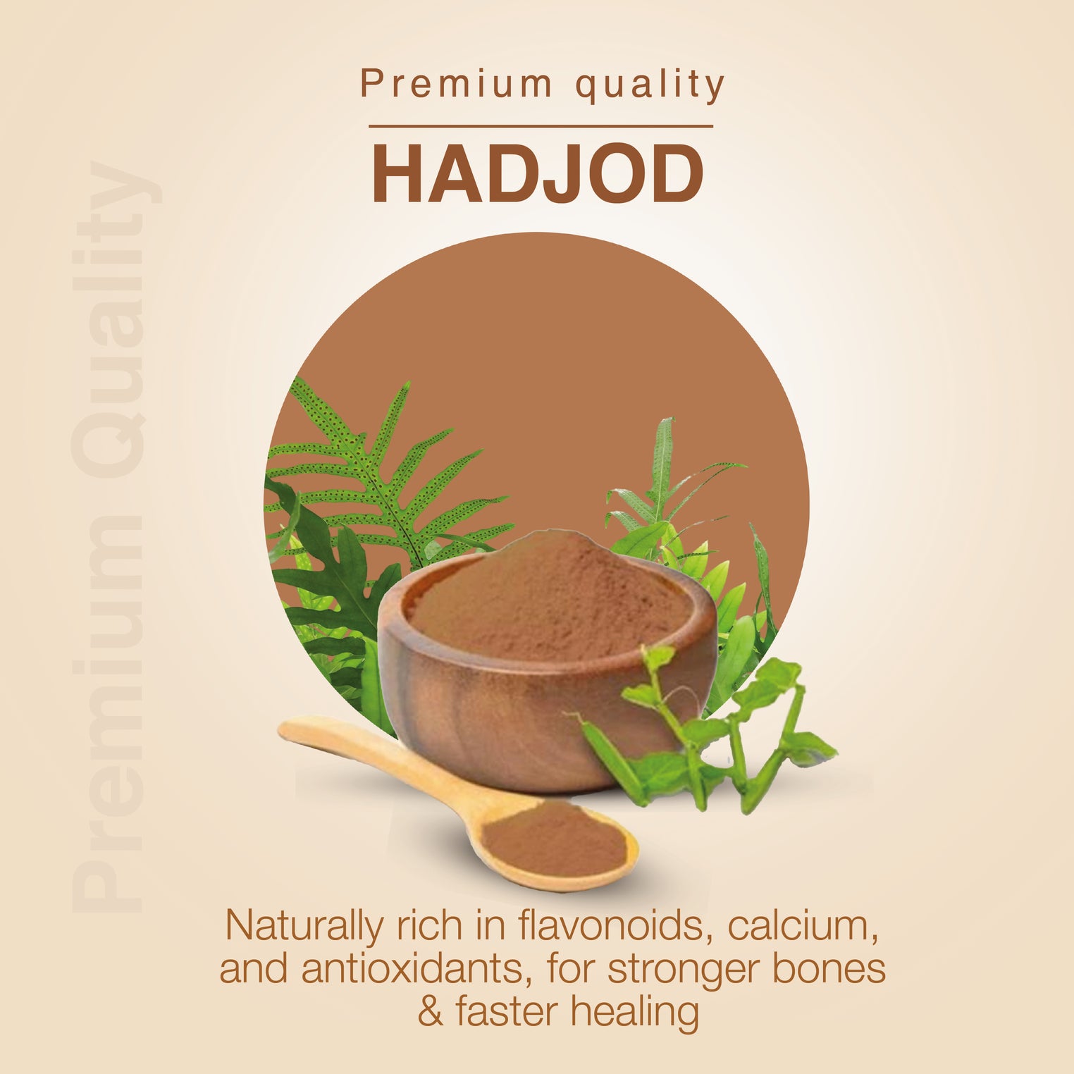 Hadjod Powder 200g