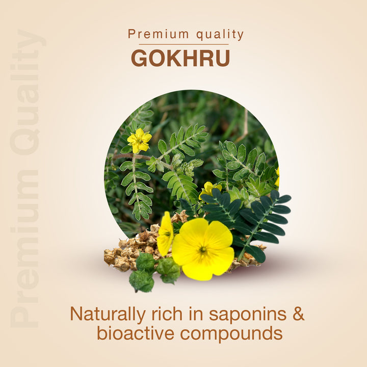 Gokhru Powder – Pure Ayurvedic Herb for Strength & Vitality – Net Qty: 200g