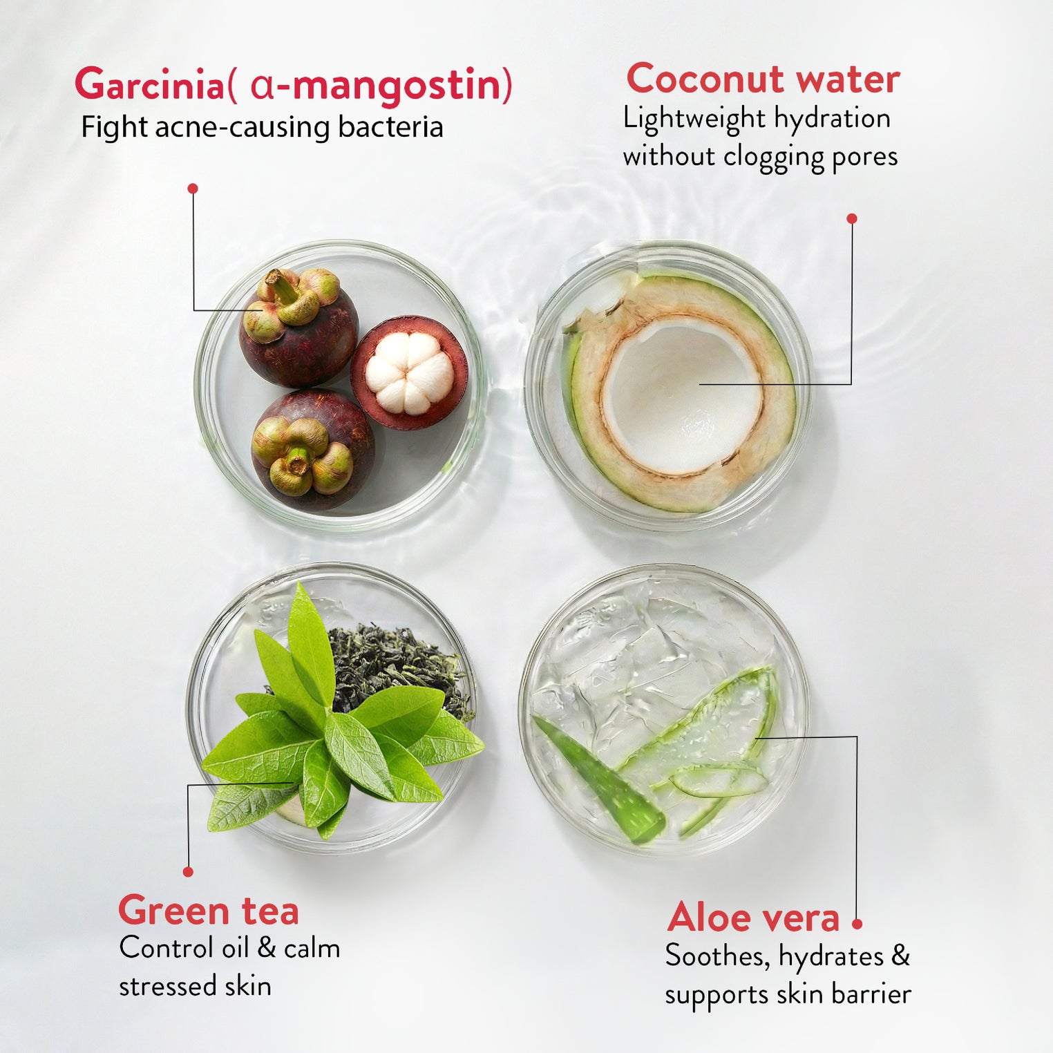 Ayouthveda Oil Control Mattifying Moisturizer Cream | Lightweight Non-Greasy Moisturizer with Green Tea, Aloe Vera & Coconut Water | Controls Excess Oil, Helps Prevent Acne & Gives Long-Lasting Matte Finish | Net Qty - 60g