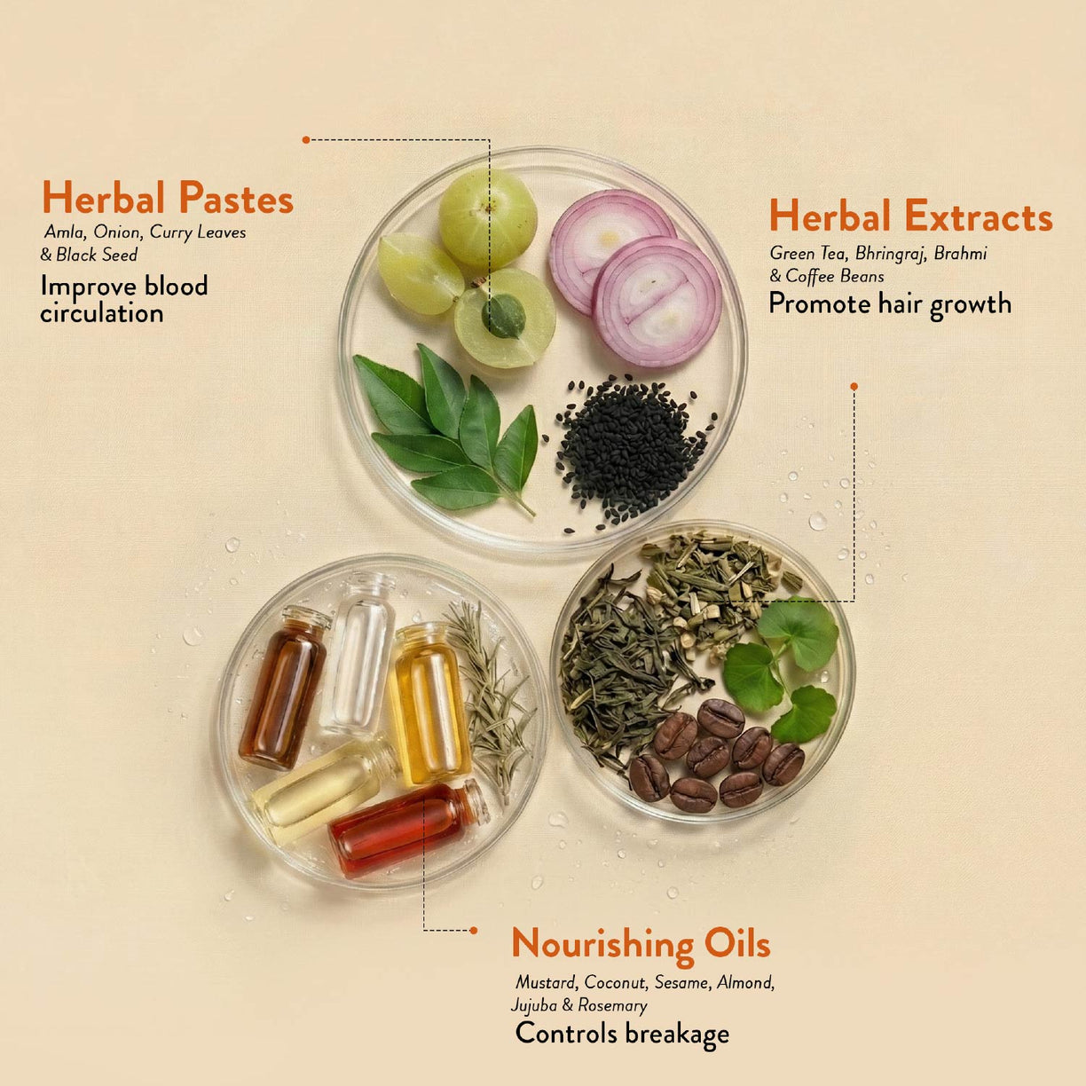 Protein Hair Oil With Bhringraj and Coffee Beans ( Net Qty - 100ml )