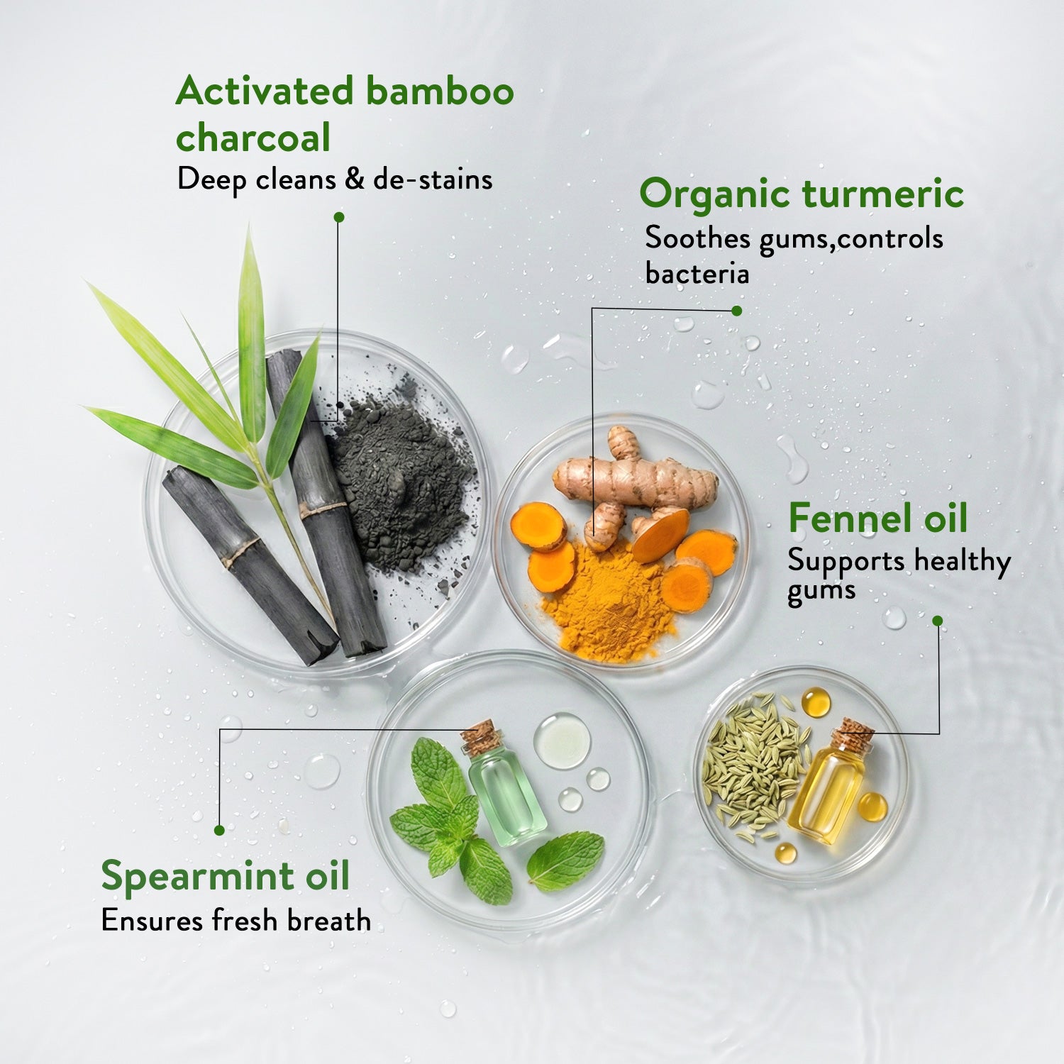 Ayurvedic Charcoal White Toothpaste with Activated Bamboo Charcoal & Turmeric for Deep Cleaning & Whitening  - 100g each (Set of 2)