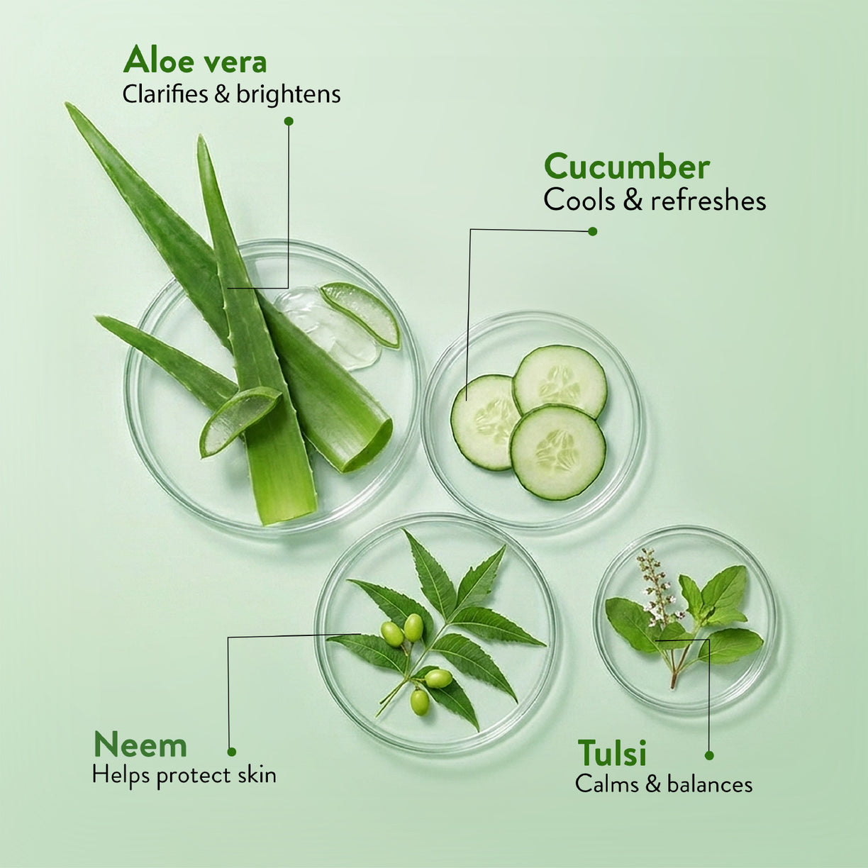 Ayouthveda Aloe Vera Gel | Multi-Purpose Gel For Face, Body & Hair | Calms Sunburn & Promotes Even Skin Tone | Non-Greasy Hydrating formula With Neem, Tulsi & Cucumber Extracts | Net. qty - 150g