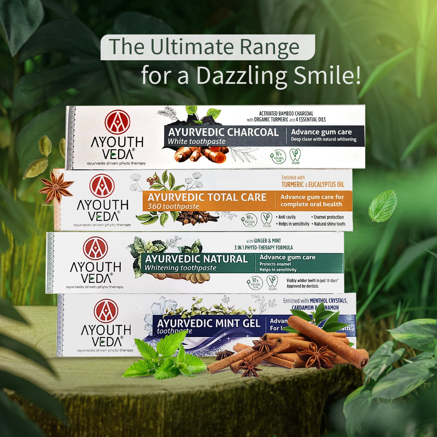 Ayouthveda Natural Whitening Toothpaste Net qty.- 100 g each Set of 2