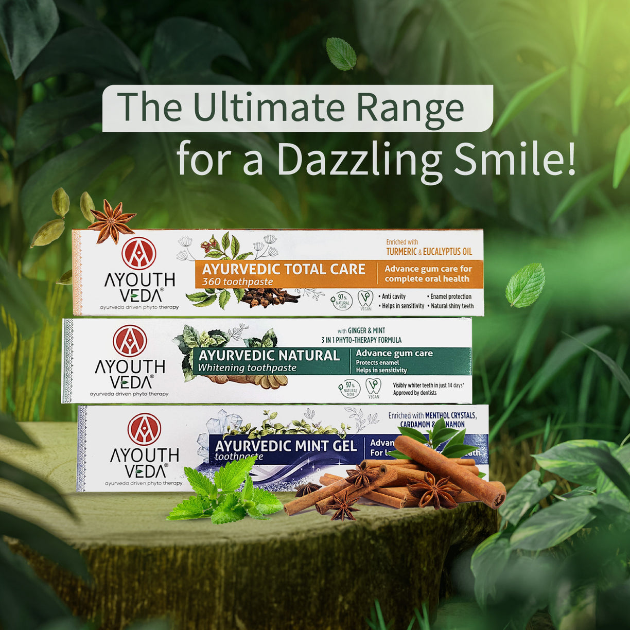 Ayurvedic Charcoal White Toothpaste with Activated Bamboo Charcoal & Turmeric for Deep Cleaning & Whitening  - 100g each Set of 2