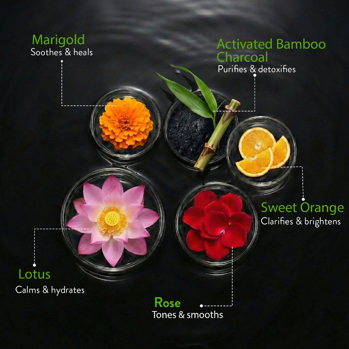 Charcoal Face Wash with Activated Charcoal. Net Qty-100ml (Pack of 2)