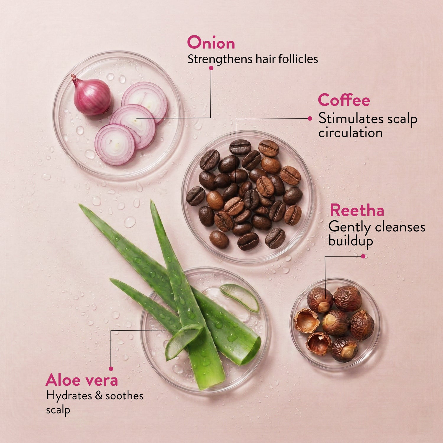 Anti-Hair Fall Shampoo with Onion and Coffee -(Net Qty- 200ml)