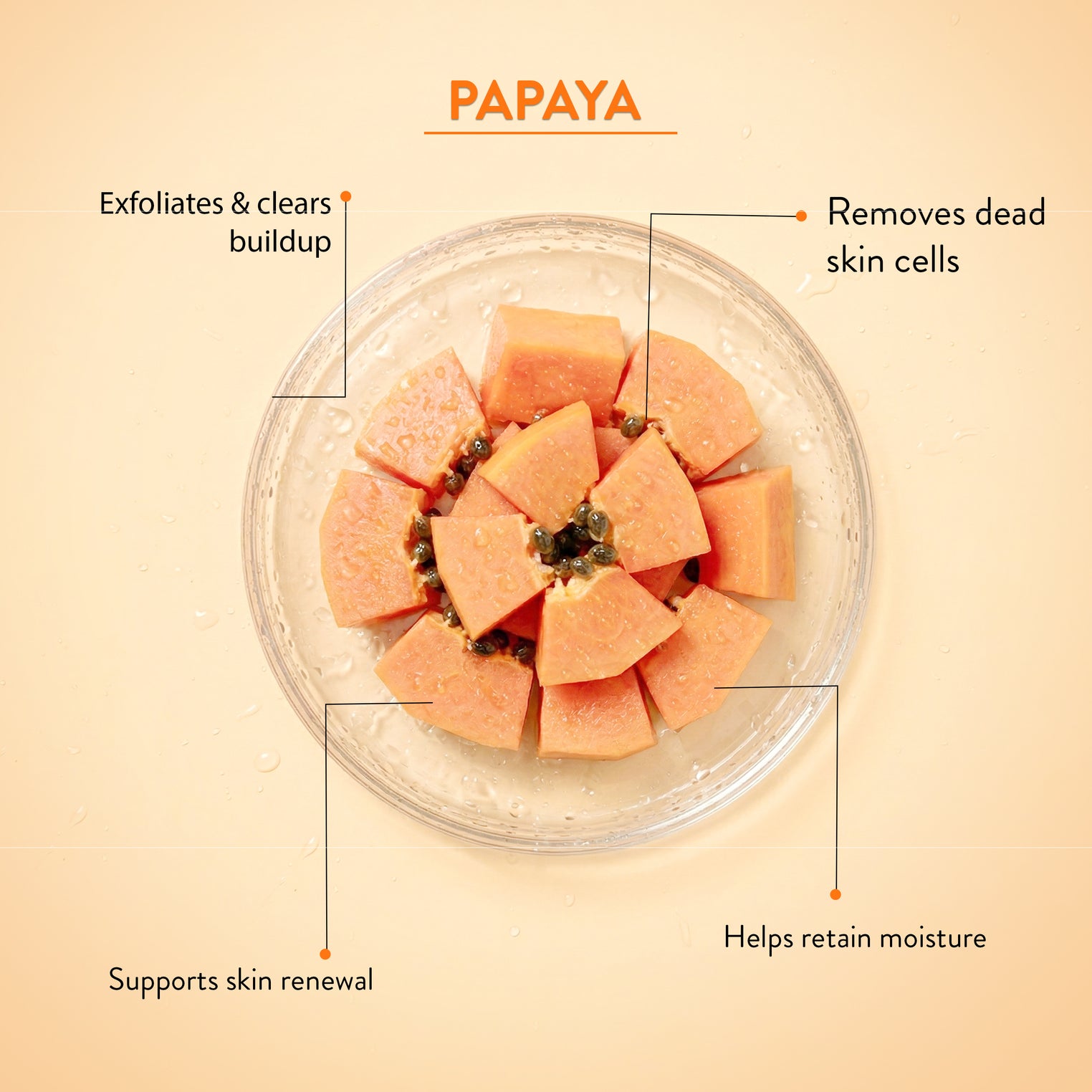 Ayouthveda Papaya Vera Face Wash with Real Papaya Extract | Deep Cleanser for Dry to Normal Skin | Removes Dullness, Dark Spots, & Impurities | Sulfate-Free Gentle Formula | (100 g)