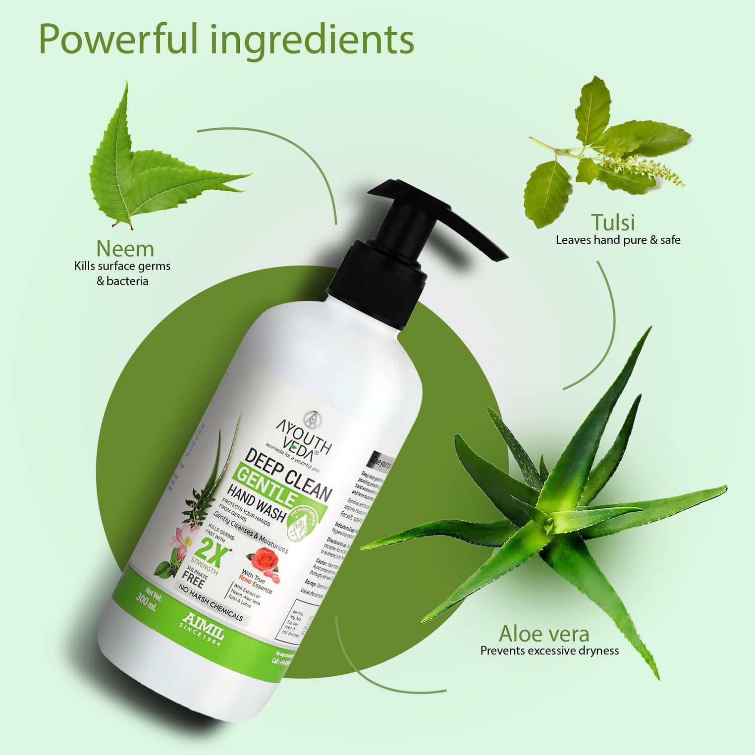 Deep Clean Gentle Hand Wash (Set of 2) (Net Qty -300 each) - Ayouthveda