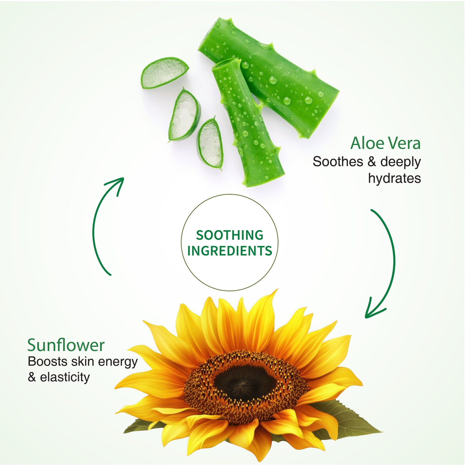 Ayouthveda Aloe Vera Body Lotion | Hydrating & Revitalizing Moisturizer with Aloe Vera & Sunflower for All Skin Types | Non-Greasy, Nourishing Lotion for Soft, Smooth Skin – 250ml