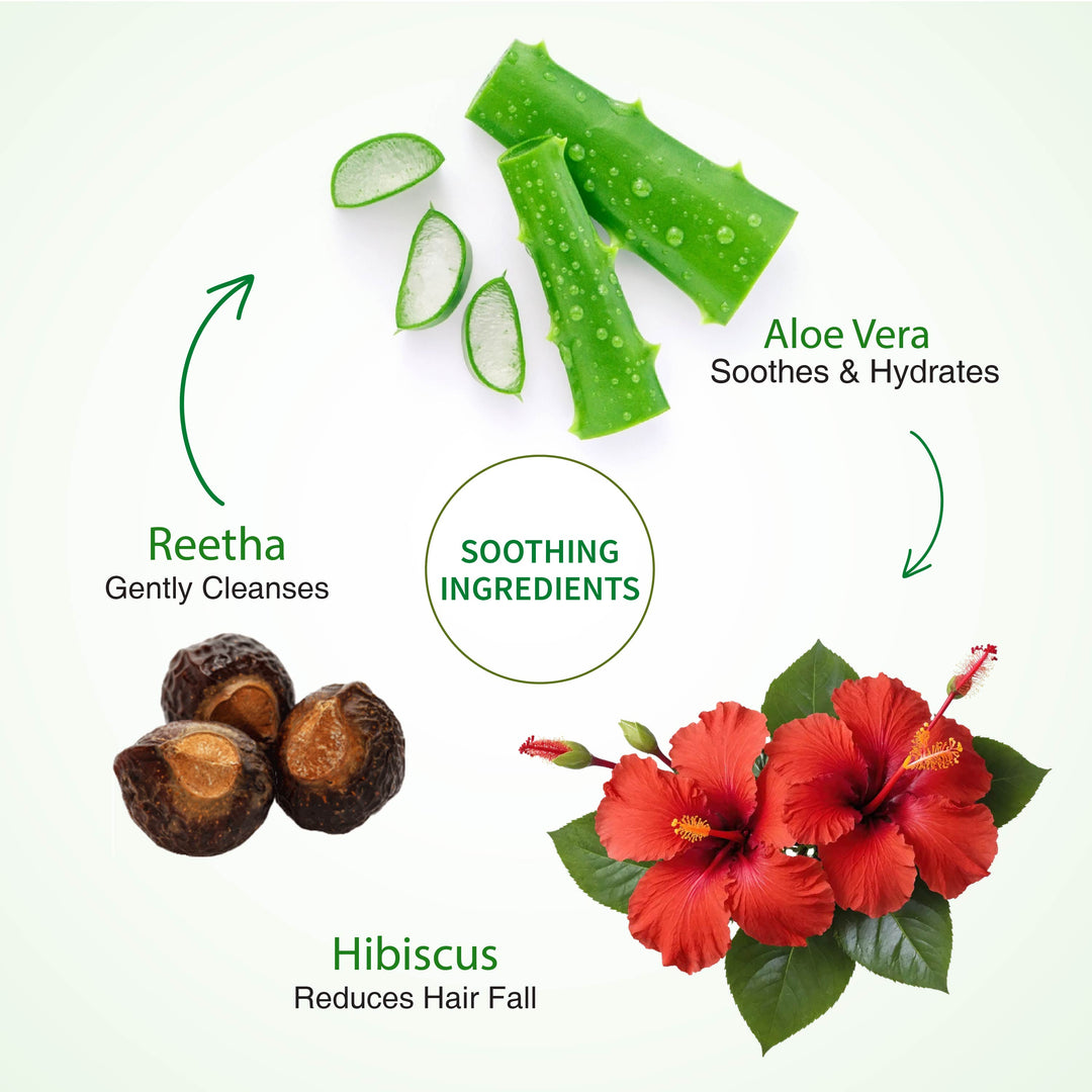 Ayouthveda Aloe Vera Shampoo for Hair Fall Control, Dandruff & Itchy Scalp | Sulphate & Paraben Free | Enriched with Aloe Vera, Reetha & Hibiscus  – 250ml