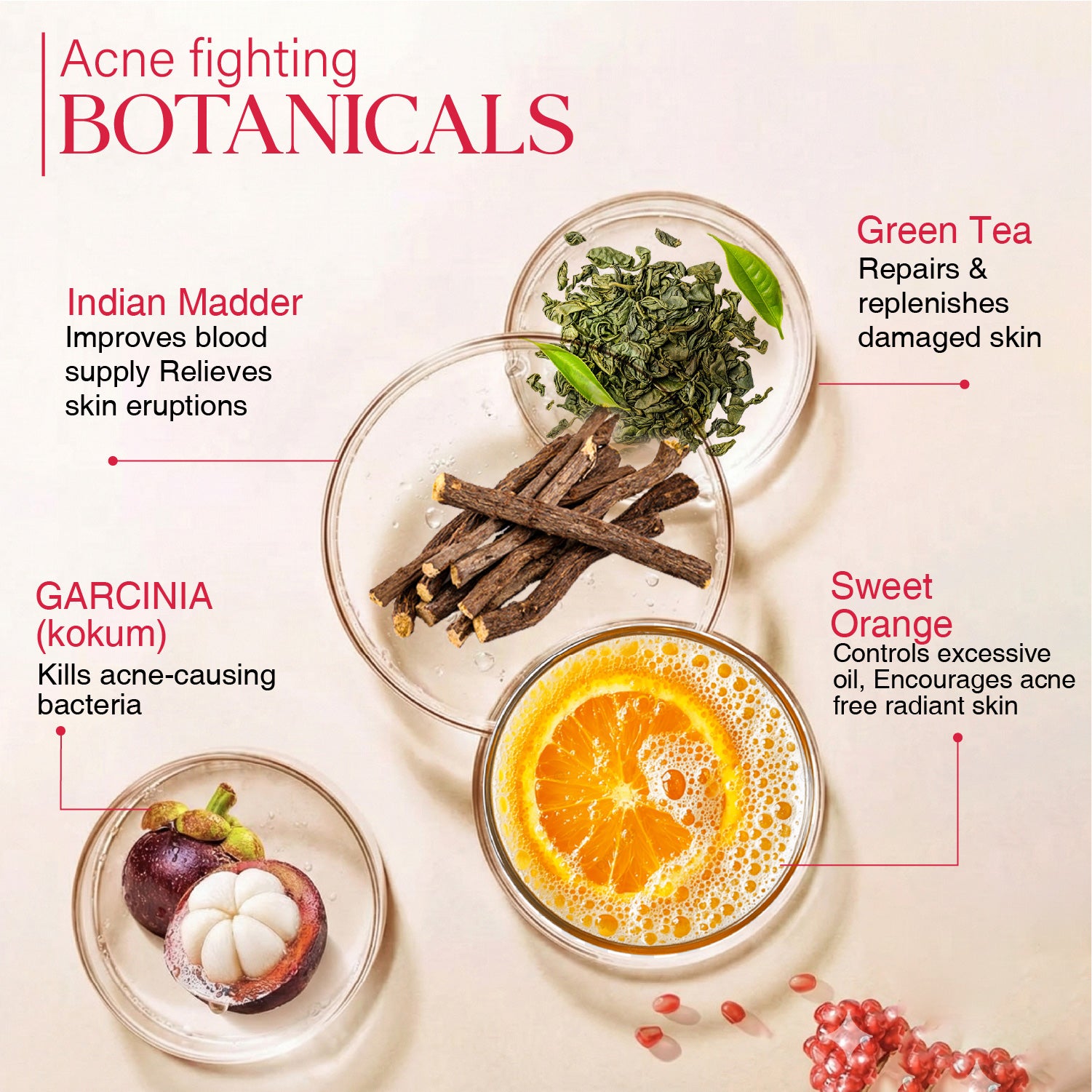 Ayouthveda Acne Enemy Face Wash Gel for Acne & Pimples | Fights Acne-Causing Bacteria & Excess Oil | With Alpha-CURe Complex, Garcinia & Manjistha | Sulfate-Free Gel Cleanser | For Acne-Prone Skin | Net Qty- 100 ml