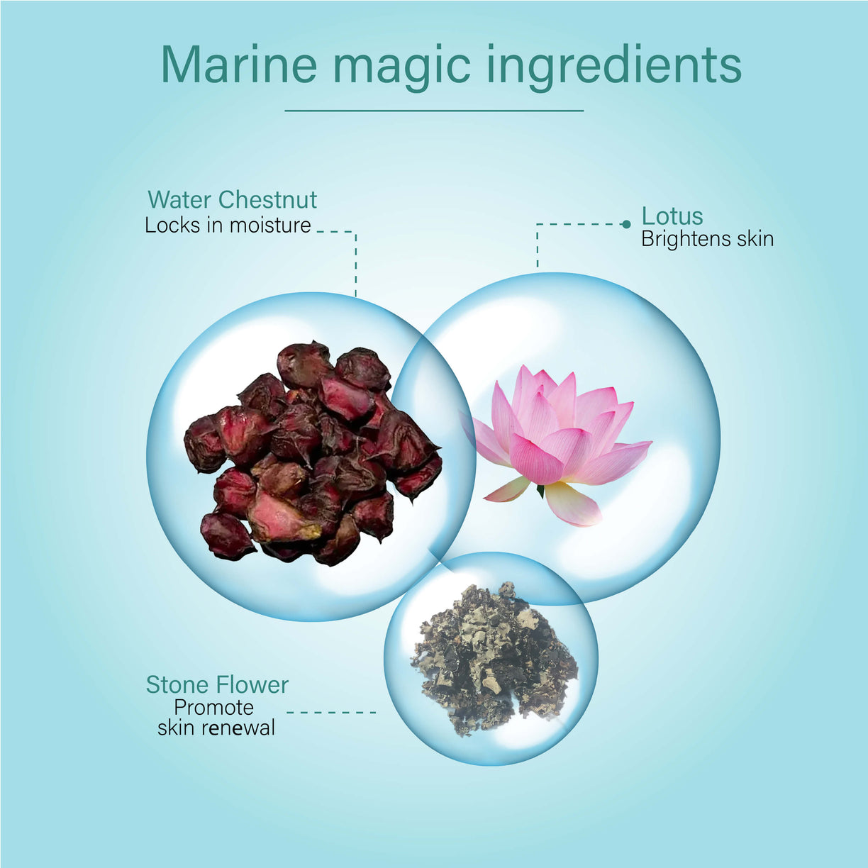 Ayouthveda Bio Marine Shower Gel for Men & Women | Enriched with Lotus, Stone Flower & Water Chestnut | Detoxifies, Moisturizes & Rejuvenates | (250 ml)