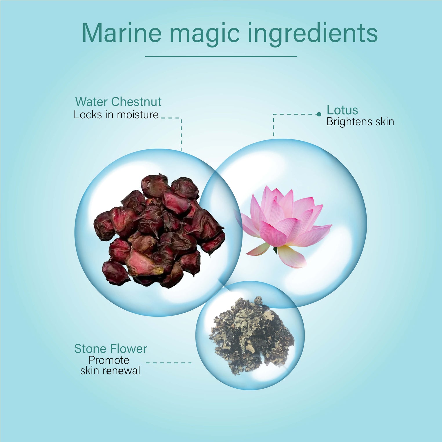 Ayouthveda Bio Marine Shower Gel for Men & Women | Enriched with Lotus, Stone Flower & Water Chestnut | Detoxifies, Moisturizes & Rejuvenates | (250 ml)