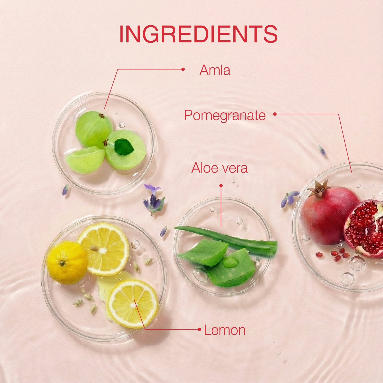 Ayouthveda Acne Enemy Clarifying Toner | With Green Tea, Witch Hazel, Pomegranate & Aloe Vera | Gently Remove Impurities, Balance Oil & Calm Acne-Prone Skin with Refreshing Formula | Net Qty - 100 ml