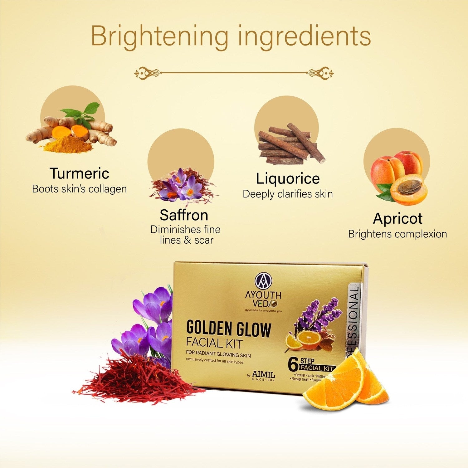 Ayouthveda Golden Glow Facial Kit 45g