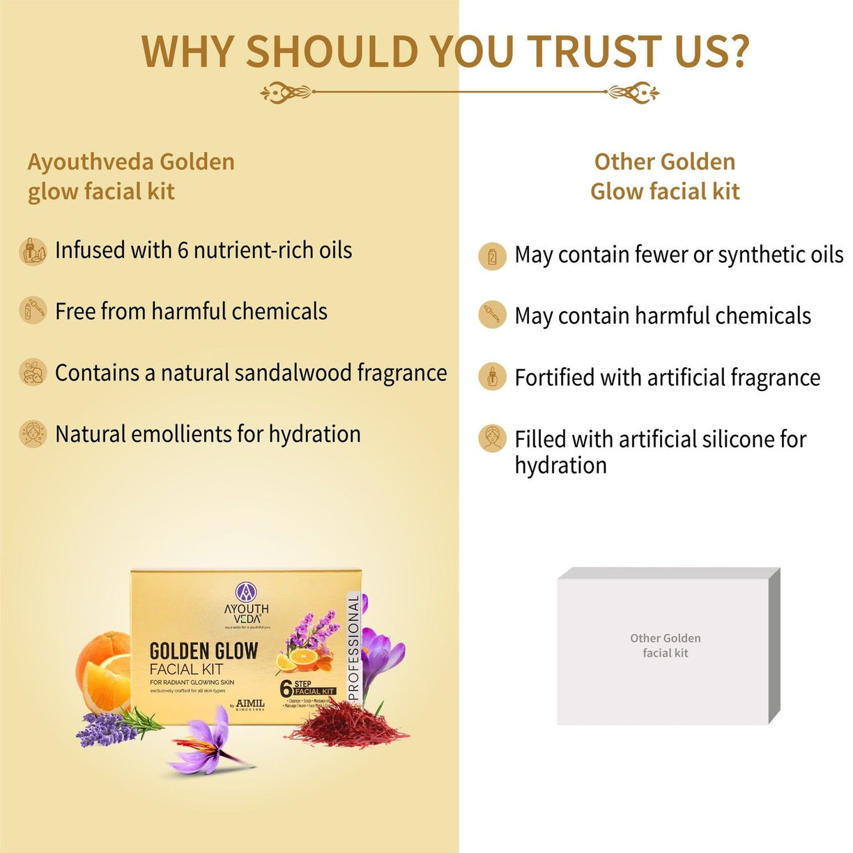 Ayouthveda Golden Glow Facial Kit 45g