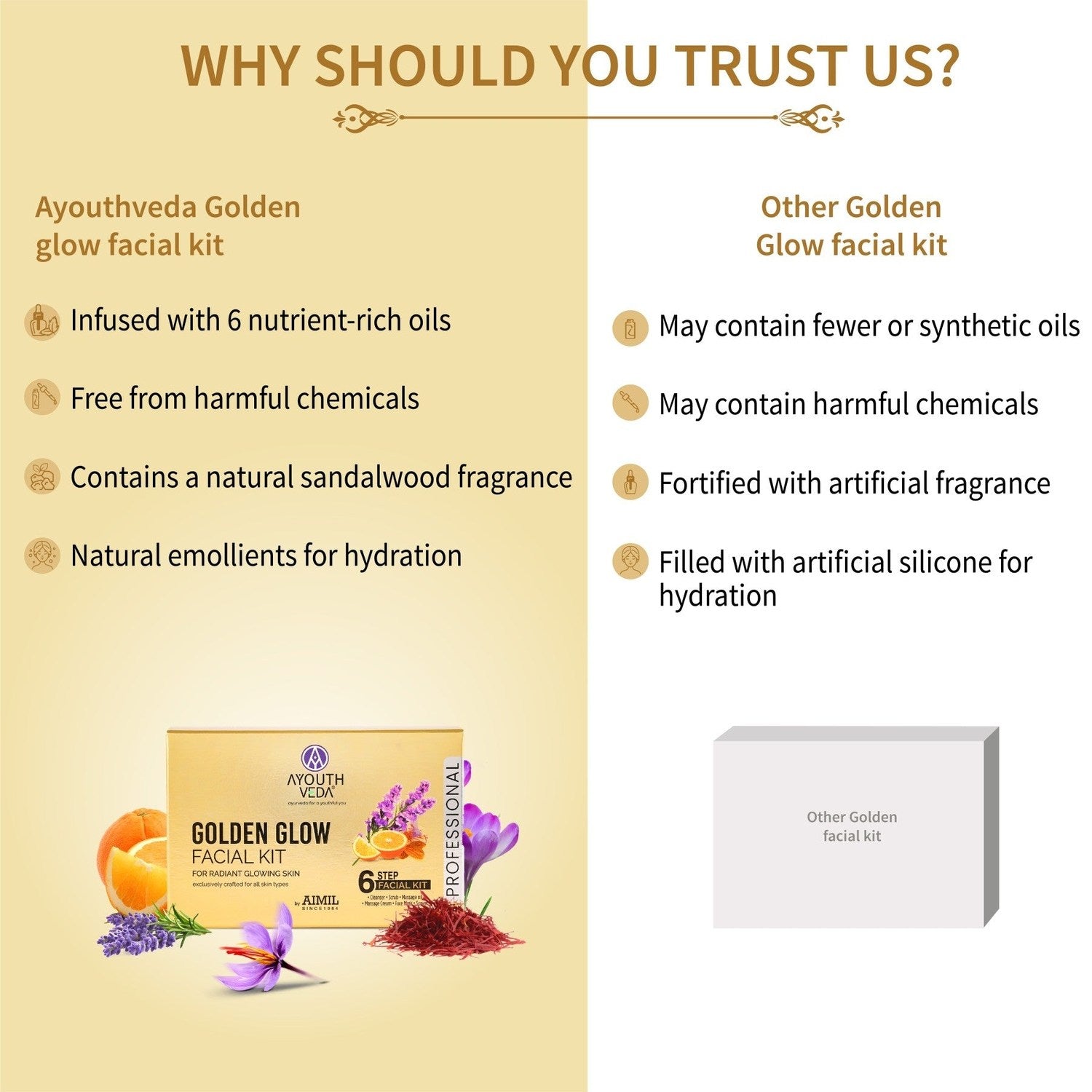 Ayouthveda Golden Glow Facial Kit 45g