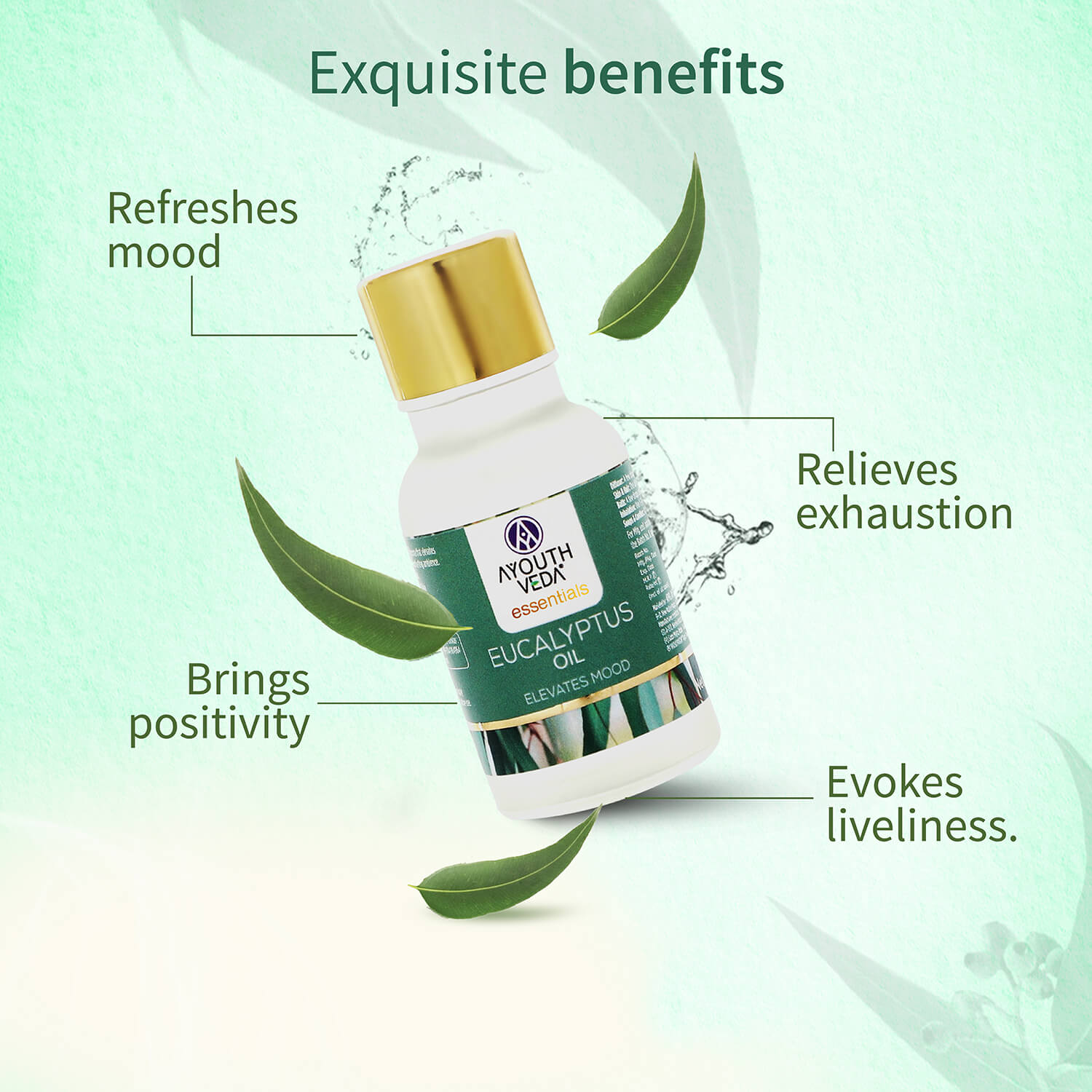 Eucalyptus Essential Oil 15ml - Ayouthveda
