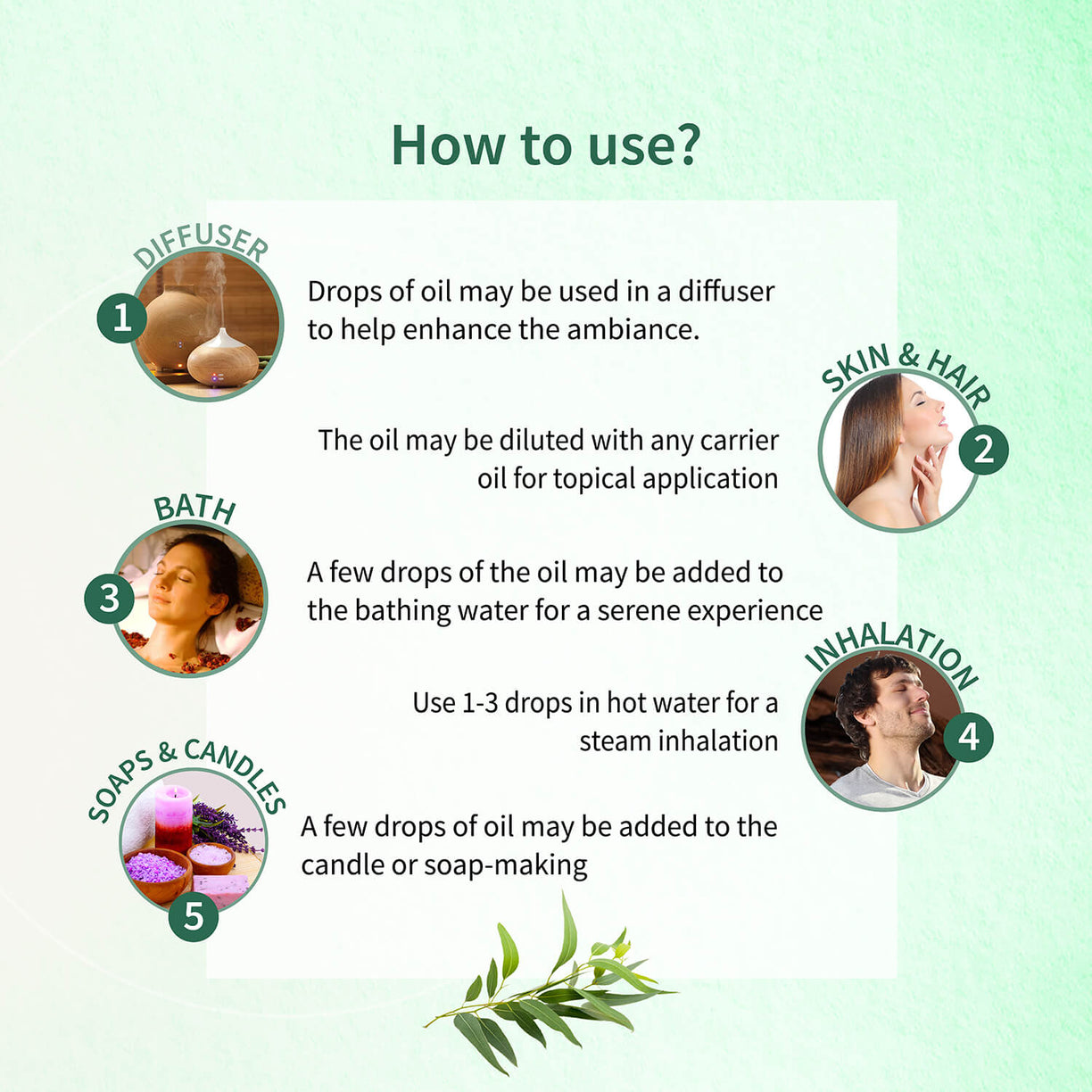 Eucalyptus Essential Oil 15ml - Ayouthveda