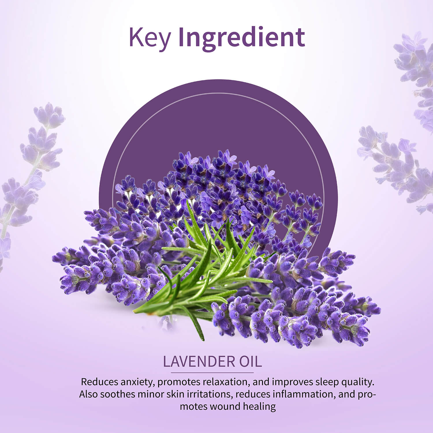 Lavender Essential Oil 15 ml - Ayouthveda