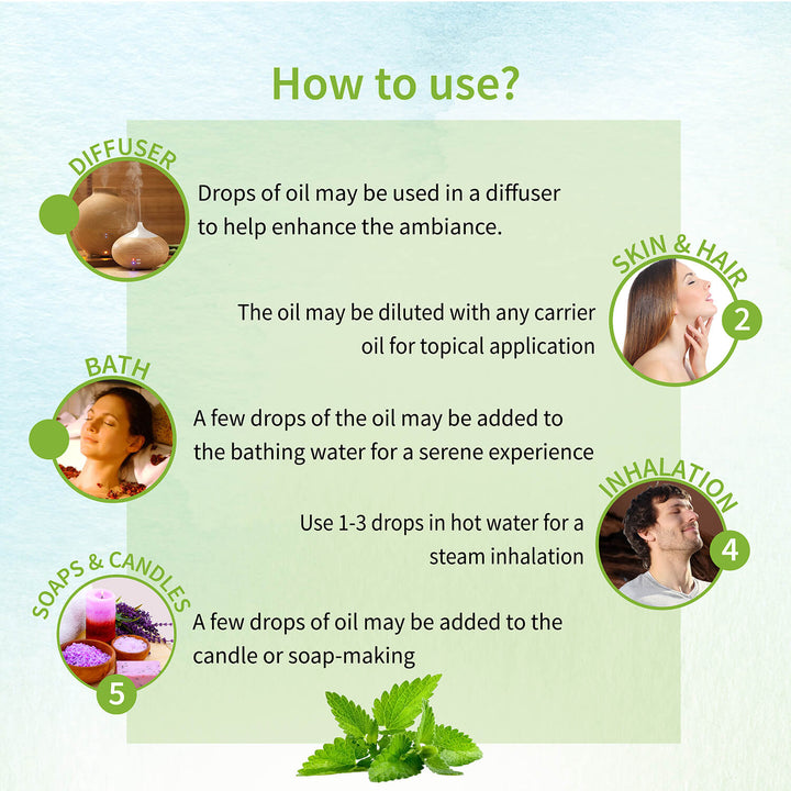 Peppermint Essential Oil 15ml - Ayouthveda