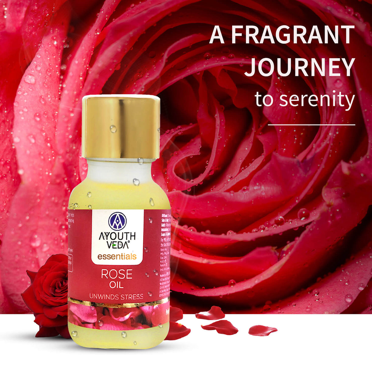 Ayouthveda 100% Pure Rose Essential Oil | Therapeutic-Grade | Promotes Relaxation, Calms Mind & Uplifts Mood | Steam-Distilled Rose Oil | 15 ml